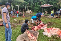 Ibadah Qurban Aidil-Adha 1441H