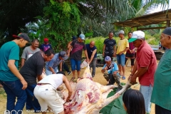 Ibadah Qurban Aidil-Adha 1441H